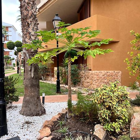 Punta Prima - Sun & Beach & Golf & Bike - Spanish South-Facing Terrace Apartment - La Recoleta - By The Sea Torrevieja Exterior photo